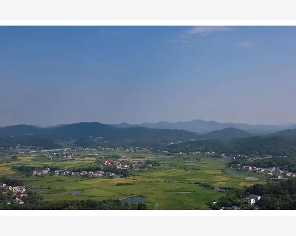 化痰茶的保存方法及注意事项