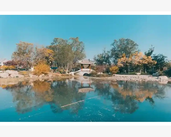 治疗脾胃的乐曲名何方？中医智慧带你寻找答案