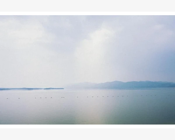 中医针灸疗程：揭秘针灸疗程的流程和效果